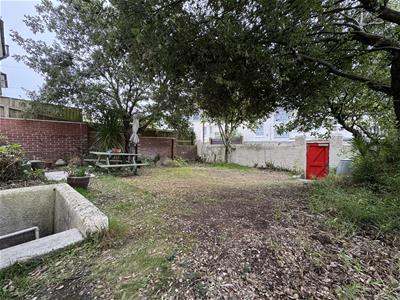 Picture 19